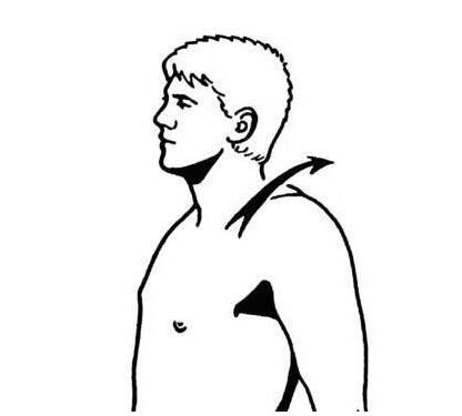 p6.jpg